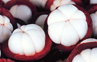 Natural Home Cures - Mangosteen The Queen of Fruits
