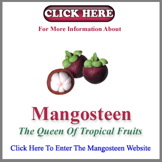 Natural Home Cures Mangosteen