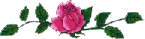 Natural Home Cures Flowers