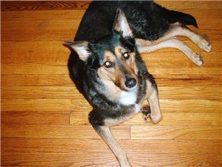 Click Here To Read A Special Remembering Ruby Poem