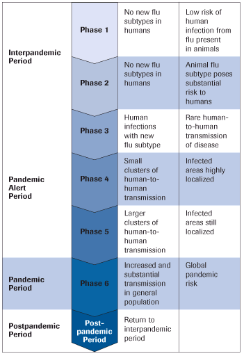 Pandemic Flu Stages